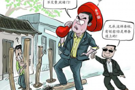 峰峰为什么选择专业追讨公司来处理您的债务纠纷？