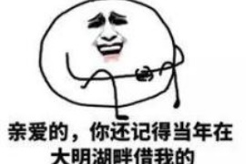 峰峰峰峰的要账公司在催收过程中的策略和技巧有哪些？